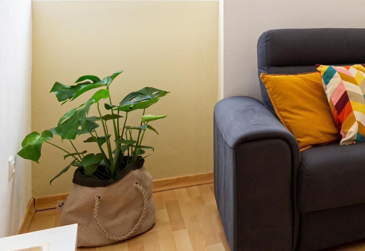 Homefeel Museo Apartament